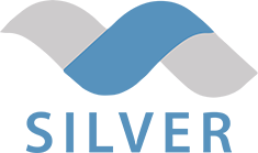 Silver.png Silver.png